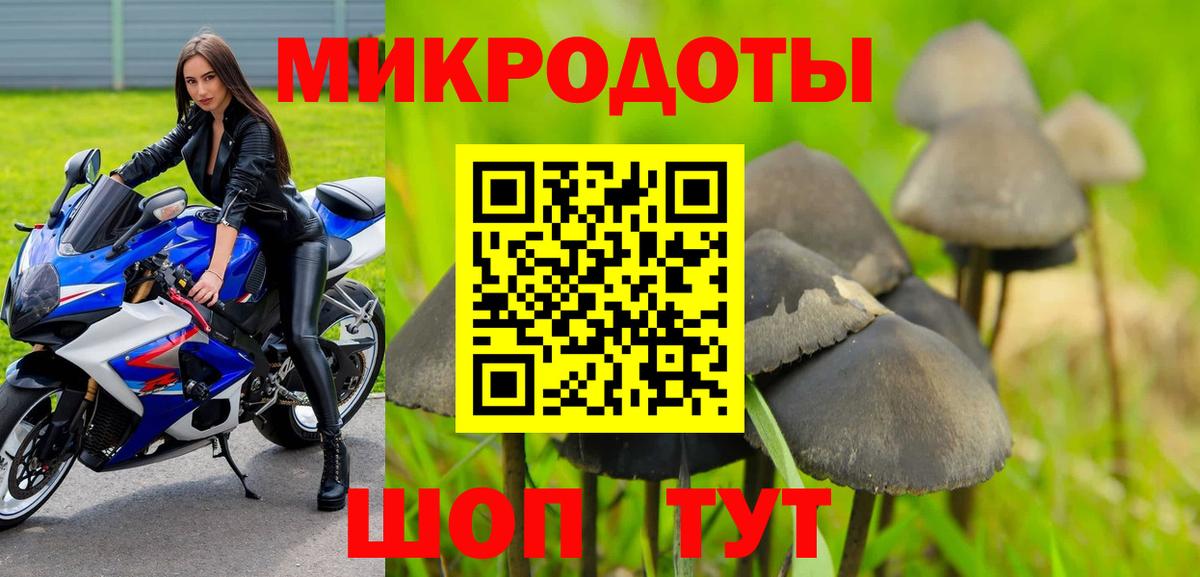 Котлас  Псилоцибиновые грибы MAGIC MUSHROOMS  Вход с VPN  Псилоцибиновые грибы прущие грибы 